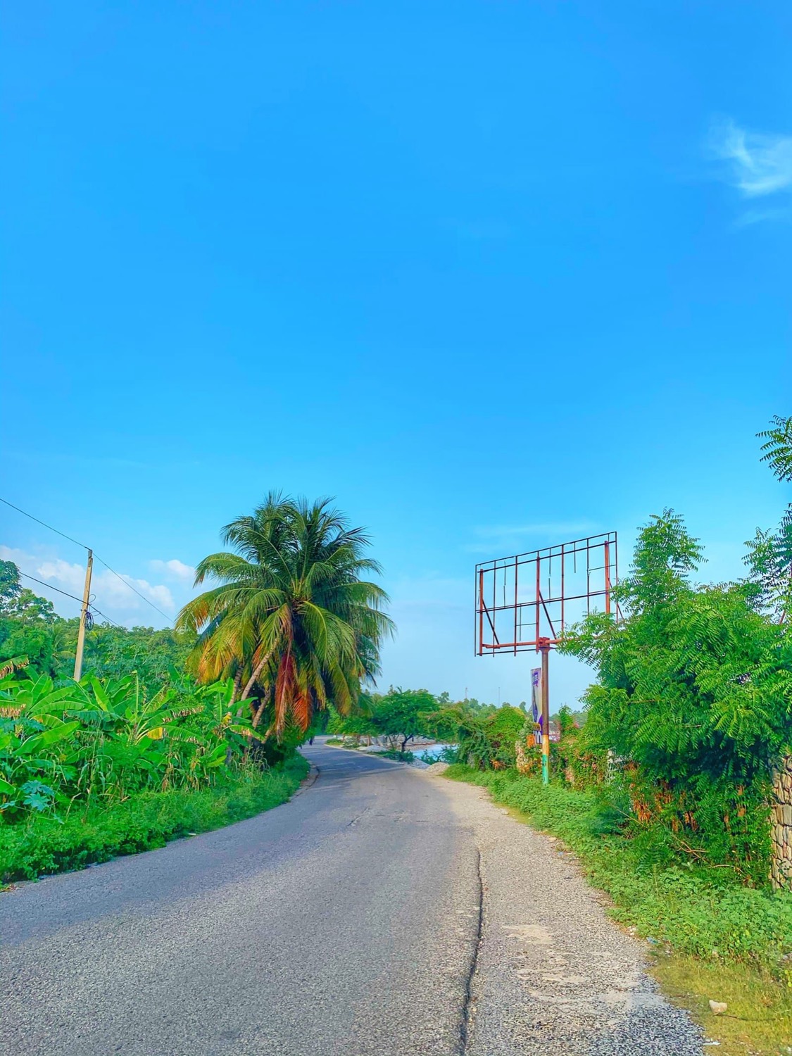 Route de campagne et cocotier, Haïti — photo Alex Polinis